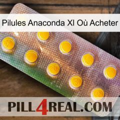 Pilules Anaconda Xl Où Acheter new11